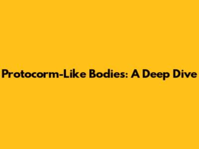 Protocorm-Like Bodies: A Deep Dive