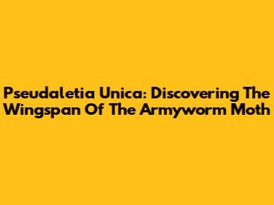 Pseudaletia Unica: Discovering The Wingspan Of The Armyworm Moth