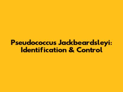 Pseudococcus Jackbeardsleyi: Identification & Control