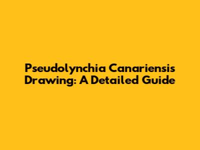 Pseudolynchia Canariensis Drawing: A Detailed Guide