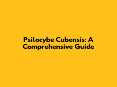Psilocybe Cubensis: A Comprehensive Guide