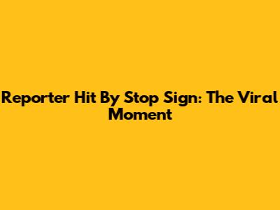 Reporter Hit By Stop Sign: The Viral Moment