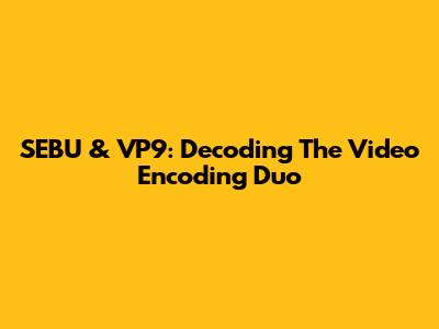 SEBU & VP9: Decoding The Video Encoding Duo