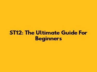ST12: The Ultimate Guide For Beginners
