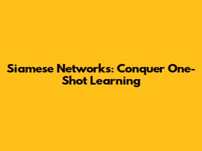 Siamese Networks: Conquer One-Shot Learning