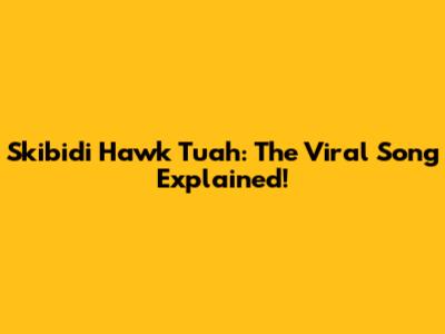 Skibidi Hawk Tuah: The Viral Song Explained!