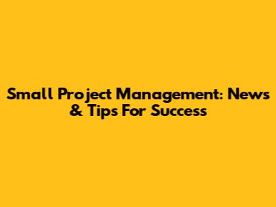 Small Project Management: News & Tips For Success
