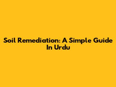 Soil Remediation: A Simple Guide In Urdu