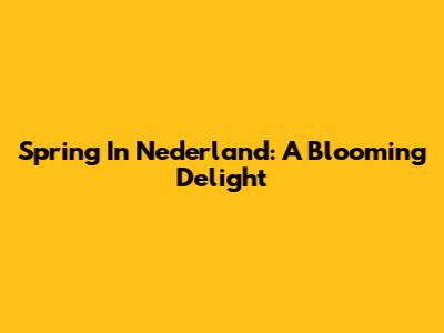 Spring In Nederland: A Blooming Delight