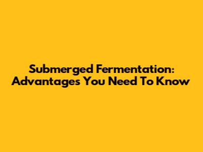 Submerged Fermentation: Advantages You Need To Know