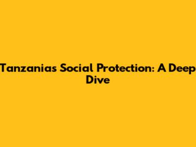 Tanzania's Social Protection: A Deep Dive