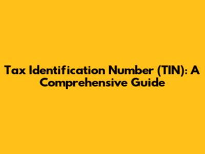Tax Identification Number (TIN): A Comprehensive Guide