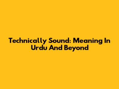Technically Sound: Meaning In Urdu And Beyond