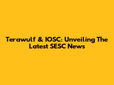 Terawulf & IOSC: Unveiling The Latest SESC News