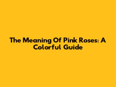The Meaning Of Pink Roses: A Colorful Guide