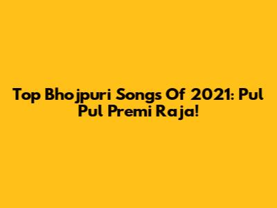 Top Bhojpuri Songs Of 2021: Pul Pul Premi Raja!