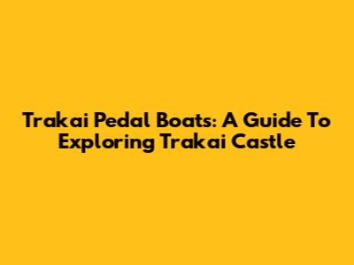 Trakai Pedal Boats: A Guide To Exploring Trakai Castle