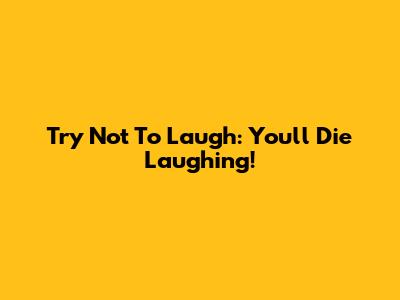 Try Not To Laugh: You'll Die Laughing!