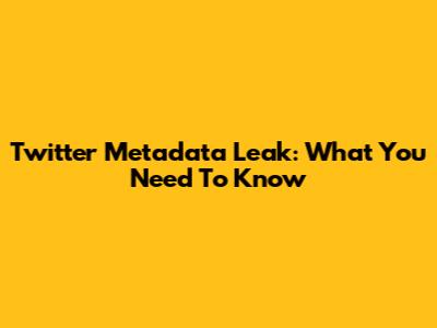 Twitter Metadata Leak: What You Need To Know