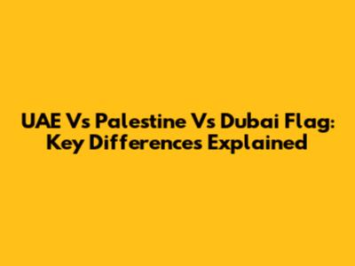UAE Vs Palestine Vs Dubai Flag: Key Differences Explained