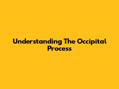 Understanding The Occipital Process