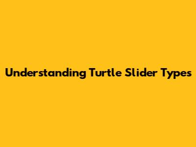 Understanding Turtle Slider Types