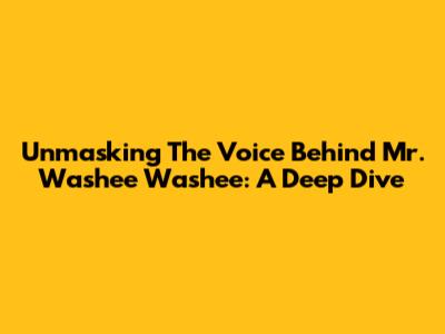 Unmasking The Voice Behind Mr. Washee Washee: A Deep Dive
