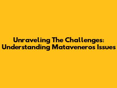 Unraveling The Challenges: Understanding Matavenero's Issues