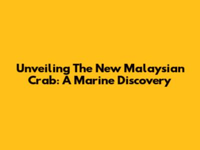 Unveiling The New Malaysian Crab: A Marine Discovery