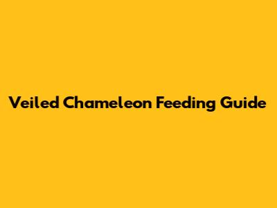 Veiled Chameleon Feeding Guide