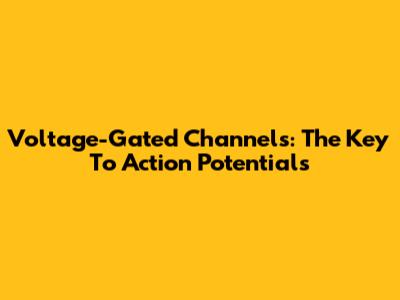 Voltage-Gated Channels: The Key To Action Potentials