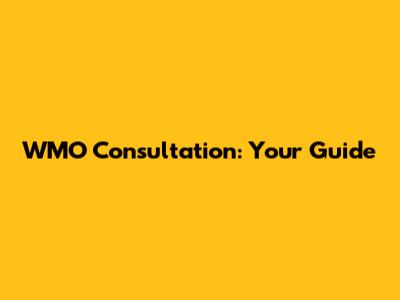 WMO Consultation: Your Guide