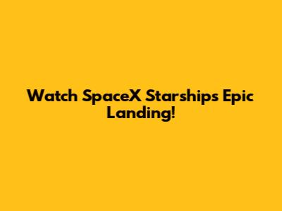 Watch SpaceX Starship's Epic Landing!