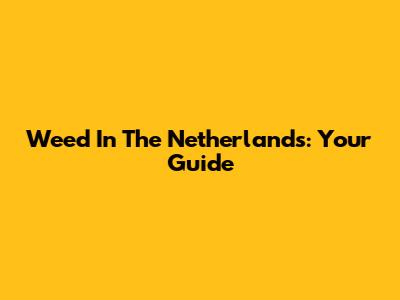 Weed In The Netherlands: Your Guide