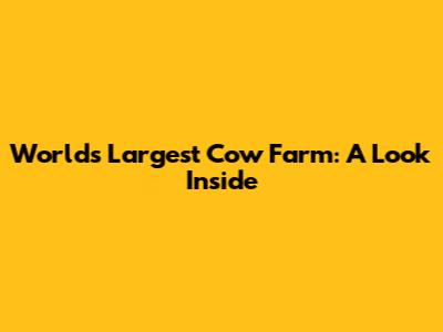 World's Largest Cow Farm: A Look Inside