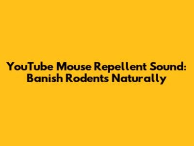 YouTube Mouse Repellent Sound: Banish Rodents Naturally