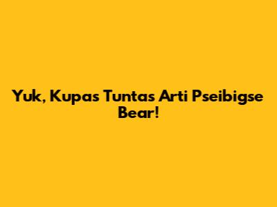 Yuk, Kupas Tuntas Arti 'Pseibigse Bear'!