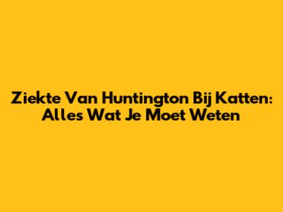 Ziekte Van Huntington Bij Katten: Alles Wat Je Moet Weten